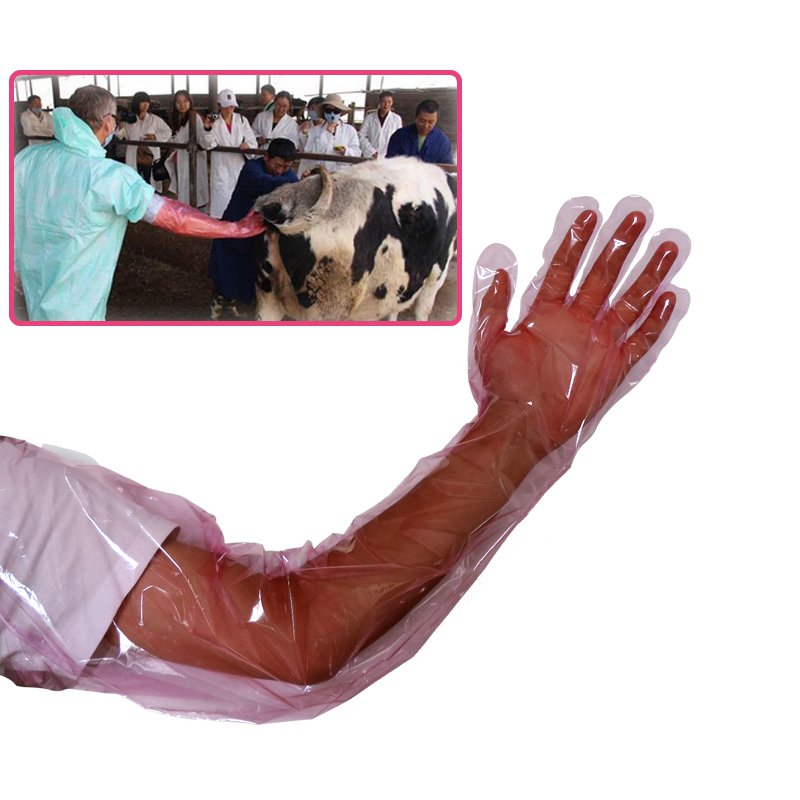 動物授精のための獣医用手袋PE使い捨てロングアーム